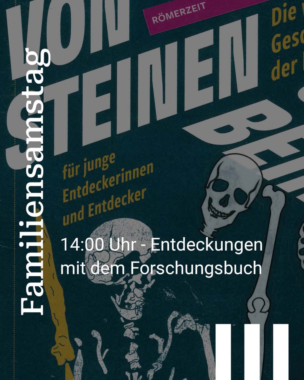 "Von Steinen und Beinen" & Programm in der Museumswerkstatt